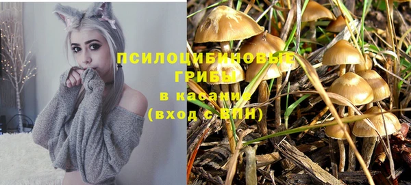 прущие грибы Алексин