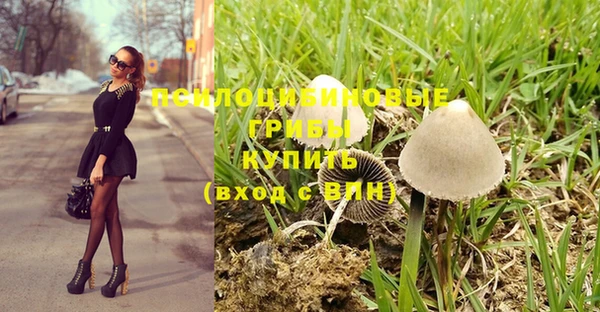 тгк Алзамай